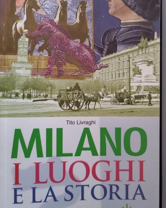 Milano i luoghi e la storia