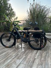 Orbea Wild H10 custom XL 2023