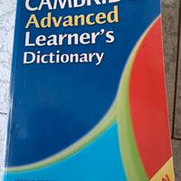 dictionary cambridge