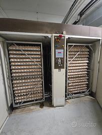 Incubatrici usate da 25.000 uova