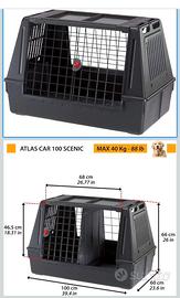 Trasportino Cane Auto