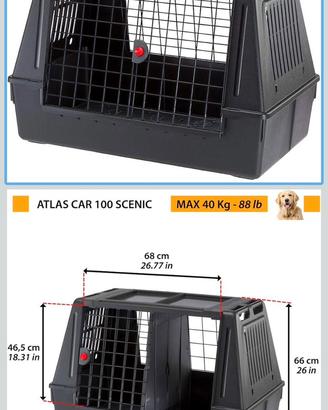 Trasportino Cane Auto