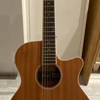 Chitarra acustica elettrificata Ibanez