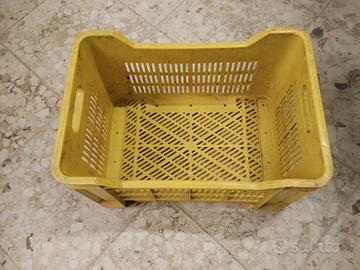 cassette ortofrutta in plastica 