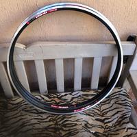 2 cerchi 24 fori corsa copertoncino dt swisR540