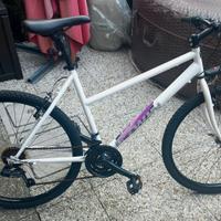 bici MTB 