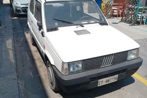 Panda epoca bianca