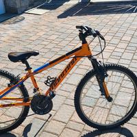 bicicletta bambino montana spidy 24 pollici