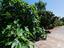Immagine 26