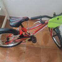 bicicletta