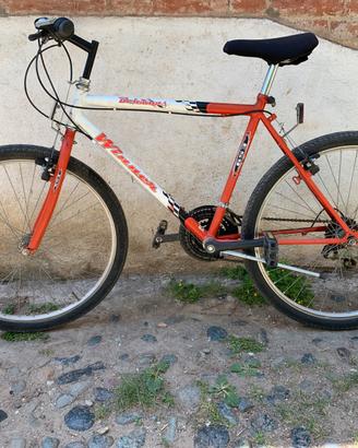 Bicicletta mountain bike - UN PO’ TRATTABILE
