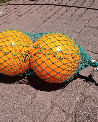 palle da pesca