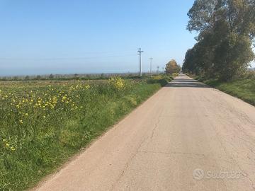 Terreni a pochi passi dal centro abitato rif.887