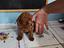Immagine 5