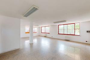 Locale ampio e luminoso