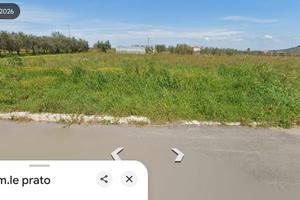 Terreno Agricolo  Frontestrada con utenze e ulivi