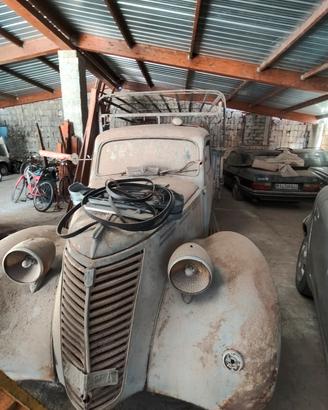 fiat 1100 autocarro