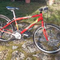 Bicicletta Legnano 26 pollici