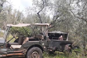 Carrello willys mb