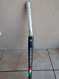 Forcella carbonio colnago