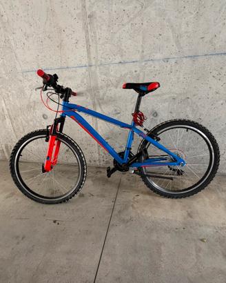 Bici ragazzo 130/150