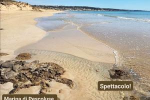 Casa verdi Pescoluse a cento metri dal mare