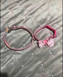 collari + pettorina  + guinzaglio 