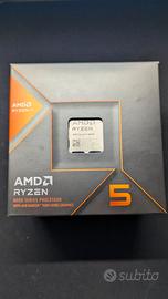 AMD Ryzen 5 8600G