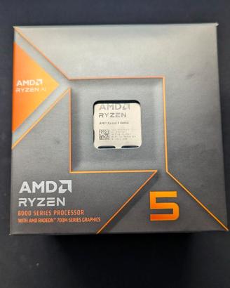 AMD Ryzen 5 8600G