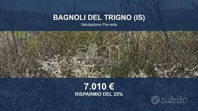 Immobile in asta di 10611 m² a Bagnoli del Trigno