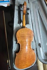 Violino