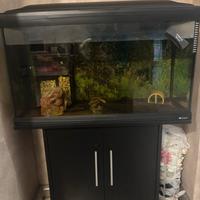 Acquario Ferplast CAYMAN 80