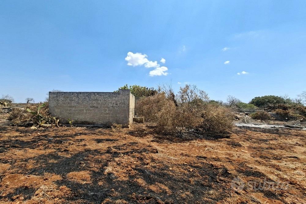 TERRENO SU Presicce Lido Marini con CASOLARI - Vista 5