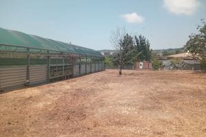 Pianura Via Eleonora Duse Rif.150T