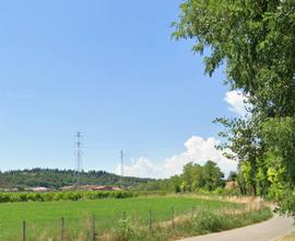 Terreno AGRICOLO