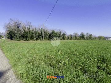 TER. AGRICOLO A SARCEDO