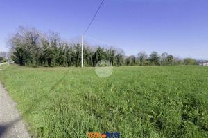 TER. AGRICOLO A SARCEDO