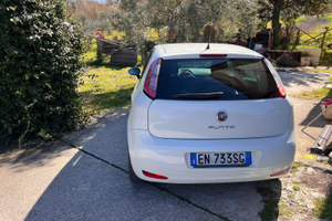 Fiat punto anno 2012