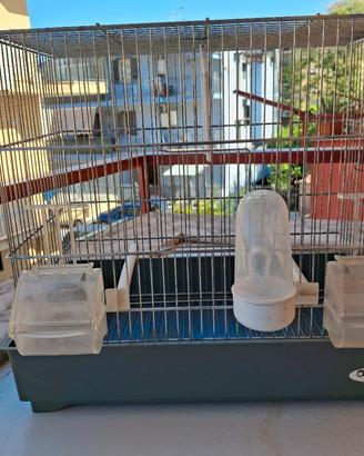 Gabbia per uccellini