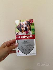 Advantix 10 kg fino a 25 kg