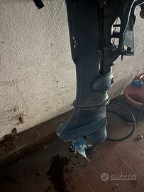 Motore fuoribordo Evinrude 6 cv