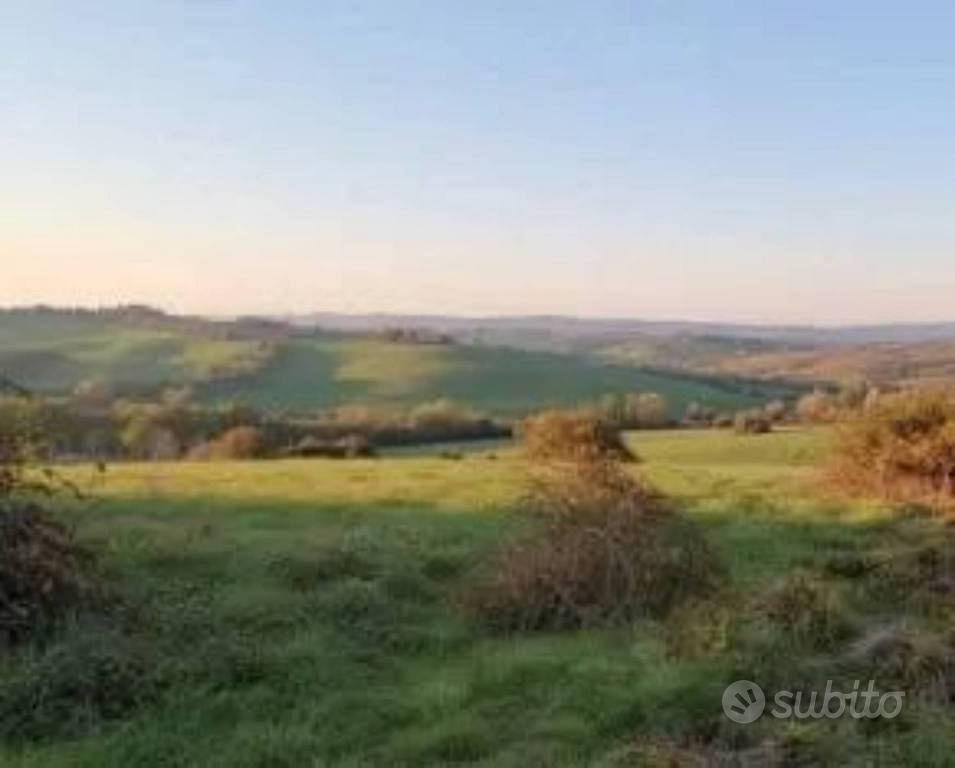 Immobile in asta di 9585 m² a Val di Nizza - Vista 4
