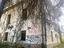 Immagine 3