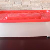 Scatola contenitore con coperchio