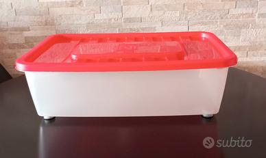 Scatola contenitore con coperchio