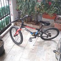 bici 20 pollici ragazzo 