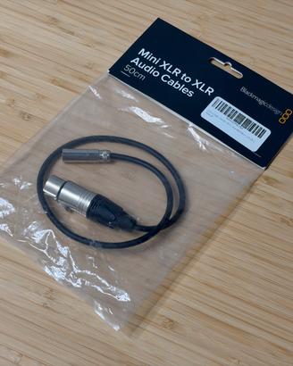 Blackmagic Mini XLR to XLR 50cm