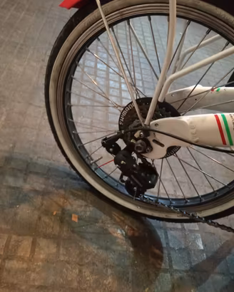bici elettrica