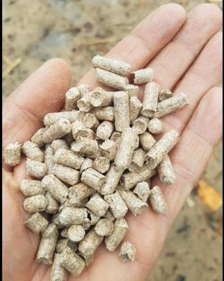 Pellet di legno 1 t. 360€