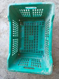 300 casse in plastica